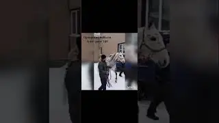 Коневоды И Рысаки Рома