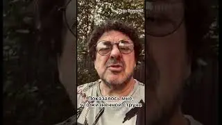 Показалось мне… 