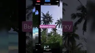 Прощаем его?😒