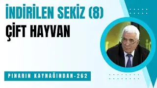 262.İNDİRİLEN SEKİZ ÇİFT HAYVAN