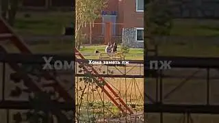 это квд