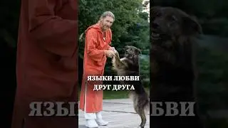 Знаете ли вы языки любви друг друга ❤️ Школа Семьи «РАДА» #shorts