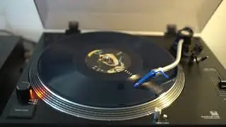 Dying Fetus - Feast Of Ashes - vinyl