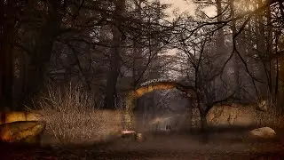 STALCRAFT  РЫЖИЙ ЛЕС ЗА 43 СЕКУНДЫ
