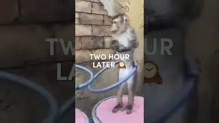КОГДА НЕ ПРОШЛА ОПЛАТА ☠️ 