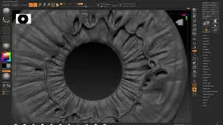 Iris cleanups final ZBrush