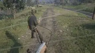 Red Dead Redemption 2 Glitch Trailer