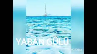 YABAN GÜLÜ..MÜNEVVER MERSİN
