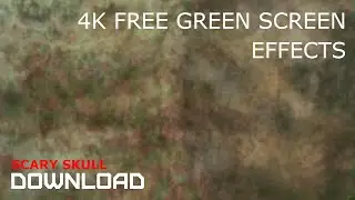 GREEN SCREEN FX - 4K SCARY SCULL