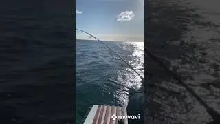 Ловля Трески.Балтийское море.Fishing in the Baltic. 발트해에서 낚시.