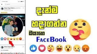 Enable now Care React Facebook  2020 | සිංහලයන්