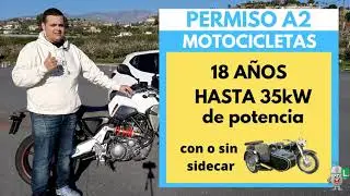 TEORICO DEL COCHE - TIPOS DE LICENCIAS Y PERMISOS QUE PREGUNTAN EN EL EXAMEN - AUTOESCUELA DIGITAL