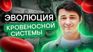 Evolution of the Circulatory System | Biology with Misha Gis | Unified State Exam 2024 | SMITUP