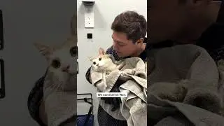 Donate This Giving Tuesday To Save More Cats Like Nori