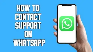 How To Contact Support on WhatsApp (2022)