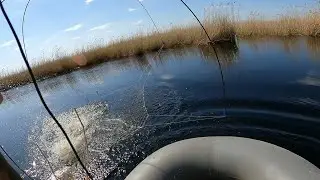 Spider-man fishing for monster carp. I recommend checking it out.