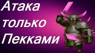 ФАН АТАКА ПЕКАМИ