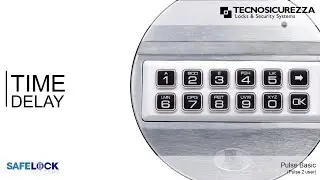 Pulse Basic - Time Delay