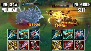 ONE PUNCH SETT vs ONE CLAW VOLIBEAR FIGHTS! BEST MOMENTS!