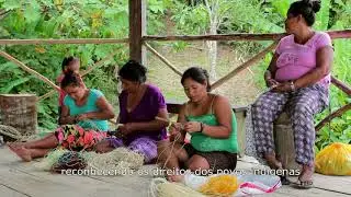 An Environment for Wellbeing: Pathways out of Poverty – Portuguese (Brazilian) subtitles (4 mins)