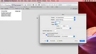 Filemaker Pro - Print single labels or sheets