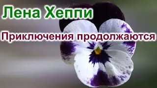 Лена Хеппи. Приключения продолжаются