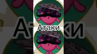 Ёжик Араб VS Ёжик Грузин 
