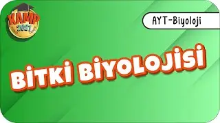 Bitki Biyolojisi | AYT Biyoloji 
