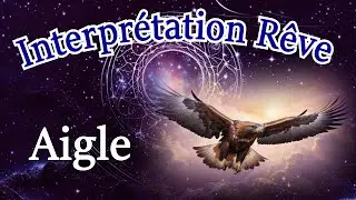 Eagle Dream Interpretation