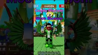 Candy Blossom VS Moon Blossom! Which seed Is better? 