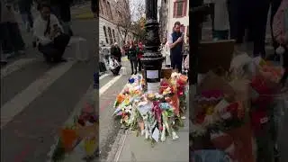 Memorial created for Matthew Perry  