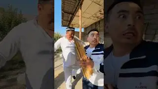 Homilador qaynana😂😂😂