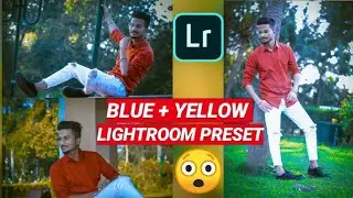 BLUE AND YELLOW TONE LIGHTROOM PRESET BY ATP PICTURES