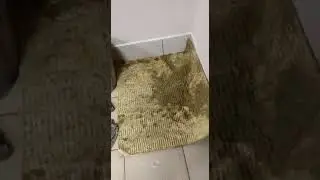 В нашем городе дождь