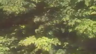 Шу охангни ким еслади