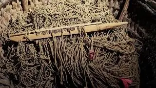 Etnografinė pajūrio žvejo sodyba