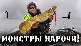 Турнир Монстры Нарочи Рыбалка на Щуку с Крупным Силиконом Осенью