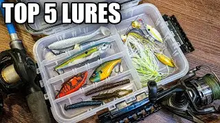 My Top 5 Fall Bass Fishing Lures (Bass Fishing for Beginners)
