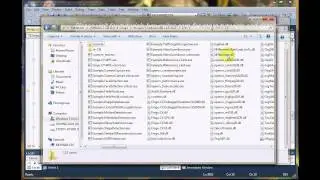 STEP 6-7 Debugging & Missing DLLs