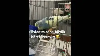Senin evladini da çıtır çıtır yerim ben😂😂😂😂￼ güldür güldür şovdan mı esinlendi acaba😂😂😂