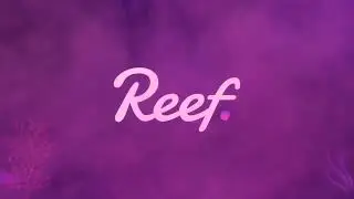 Discover the Exciting Future Plans of Reef Chain