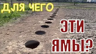 Метод посадки Голубики!