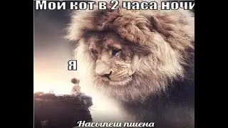 НОВЕНЬКИЕ ИГРАЮТ В ПАБДЖИ