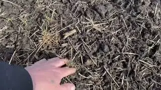 Сезон 2024 відкрито✌️