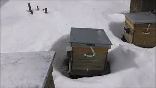 Весна 2022 года