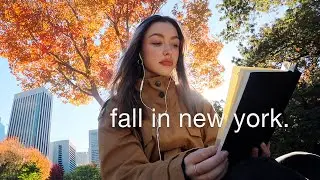 a cozy fall day in new york ☕️