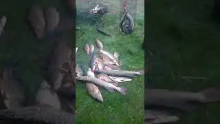 хороший улов