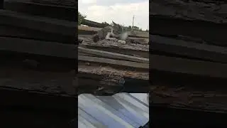 сколько лет вам было10 лет назат?
