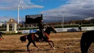 Джигитовка Trick Horse Riding