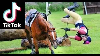 TikTok Horse Fails 🐴